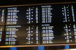 Top bookmakers in Sports betting industry